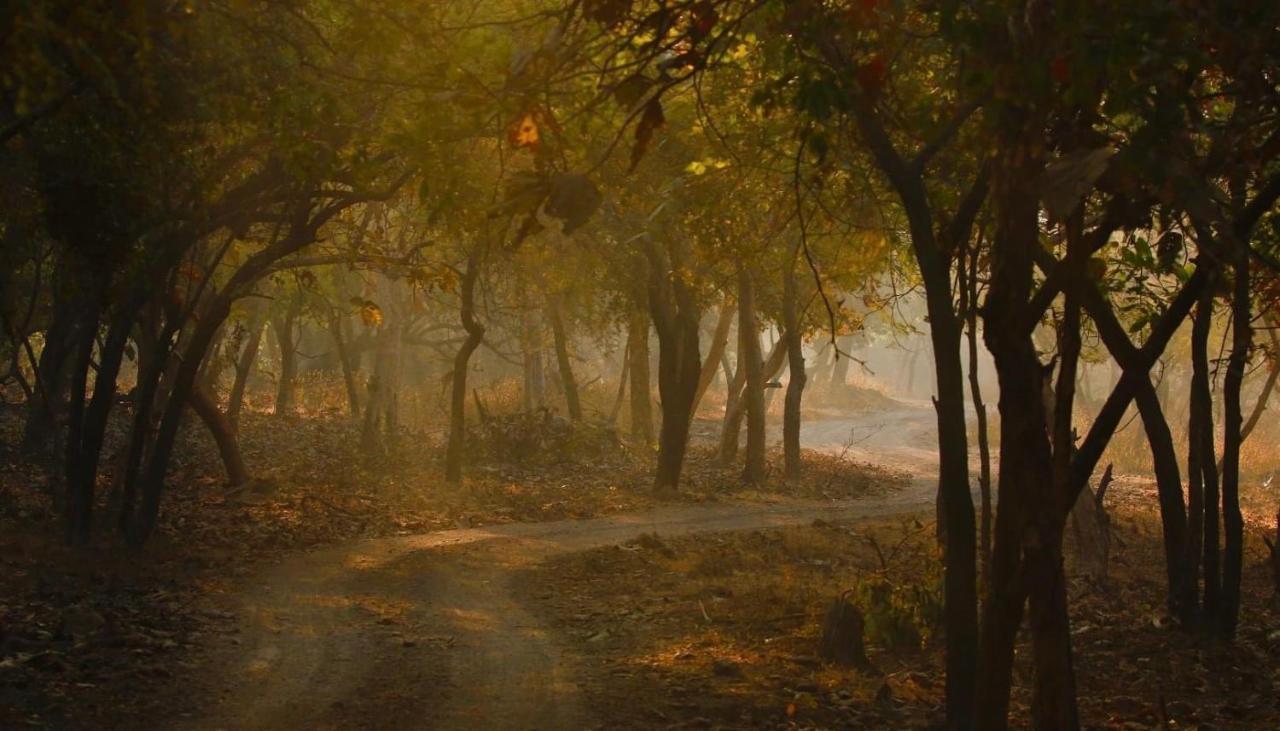 The Postcard Gir Wildlife Sanctuary Hotel Sasan Gir Exterior photo