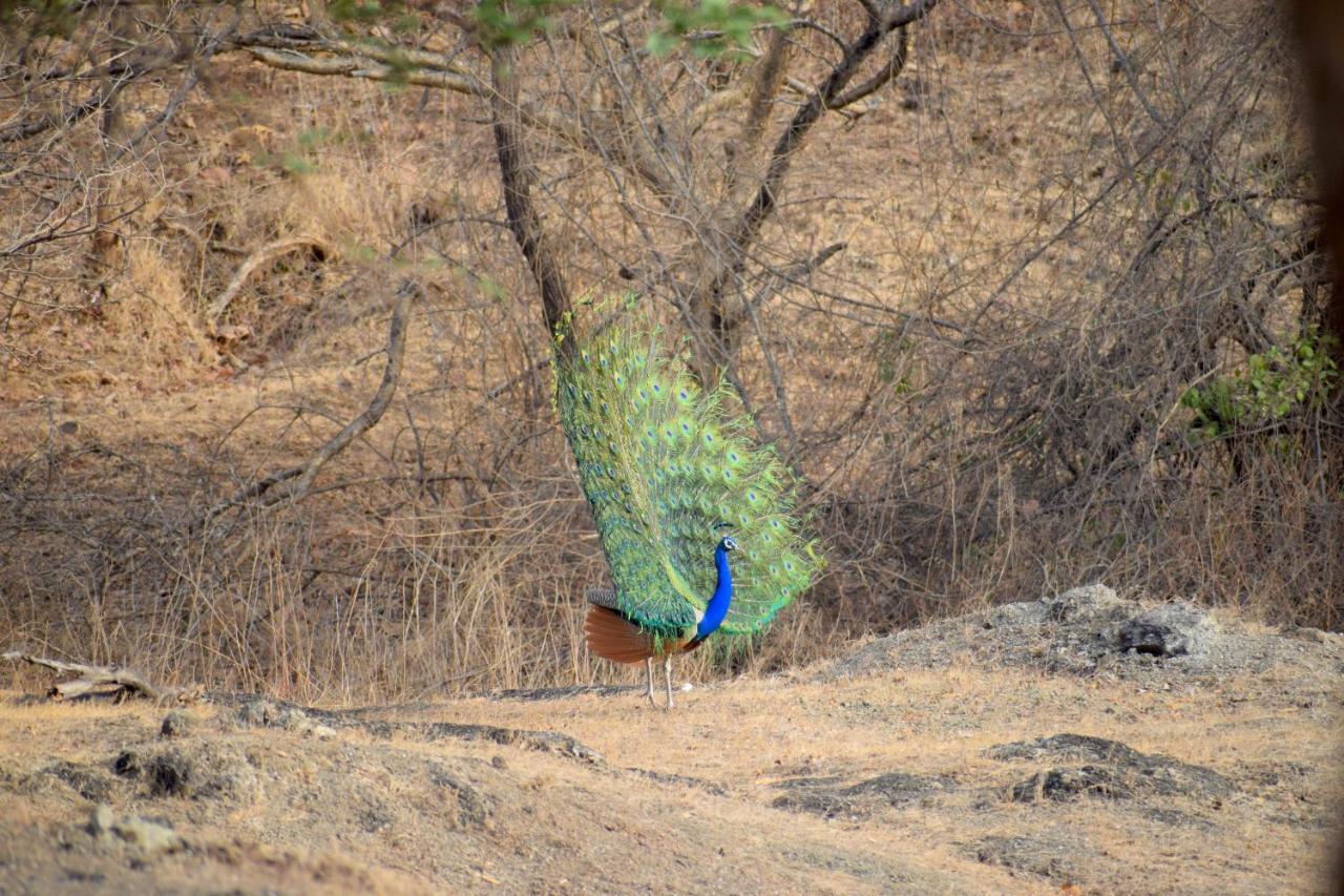 The Postcard Gir Wildlife Sanctuary Hotel Sasan Gir Exterior photo