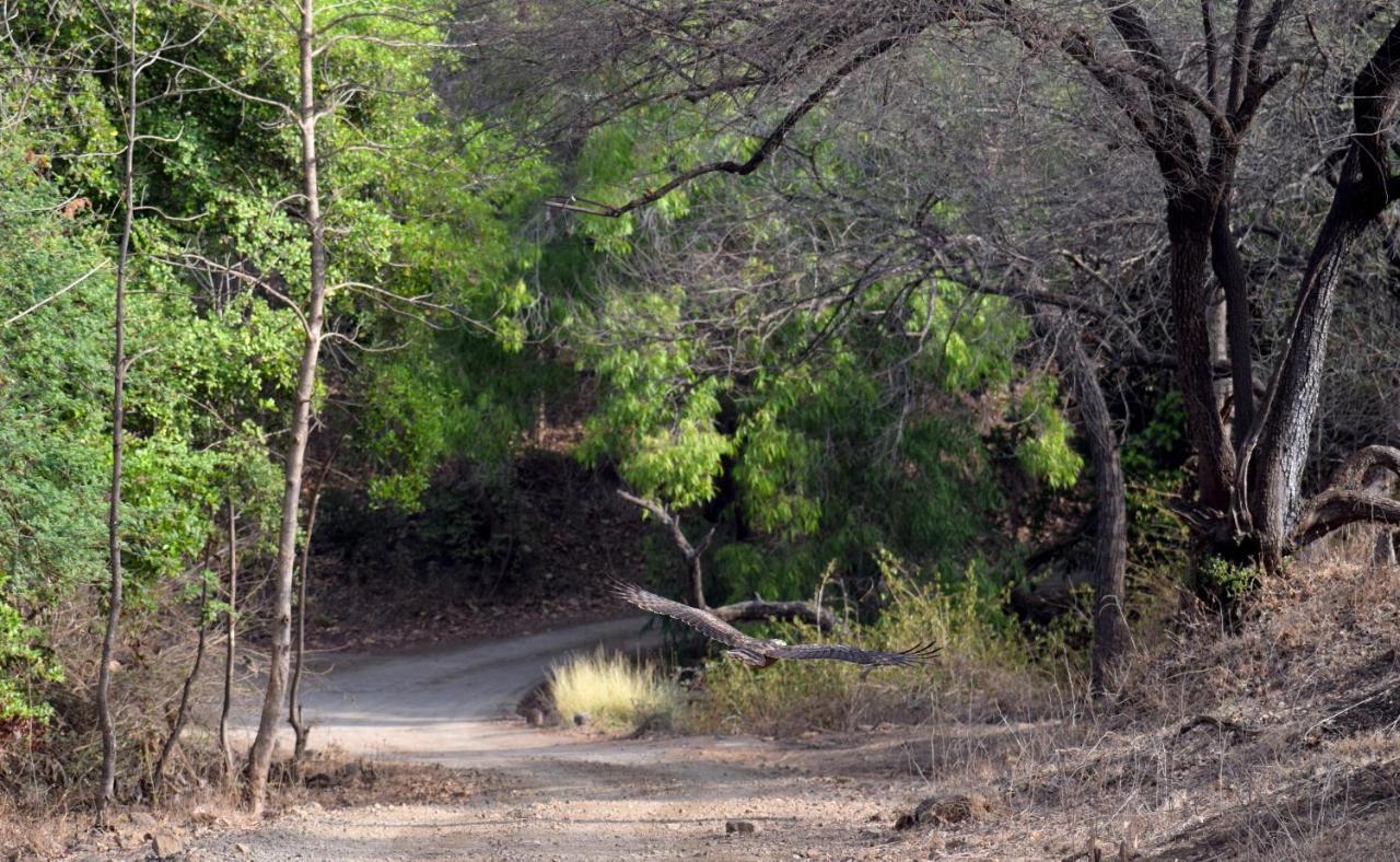 The Postcard Gir Wildlife Sanctuary Hotel Sasan Gir Exterior photo